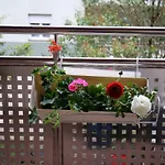 City Gallery Apartment