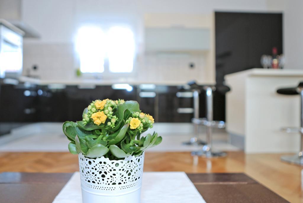 Apartament Gallery Zadar